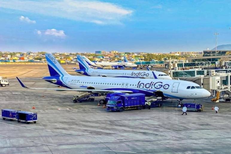 What is Indigo Cargo?